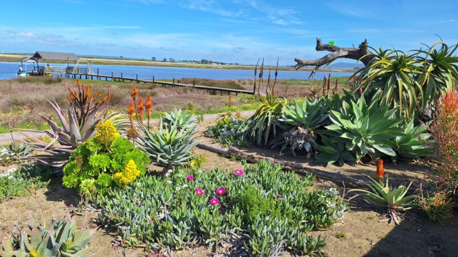 0 Bedroom Property for Sale in Velddrif Western Cape